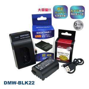 DMW-BLK22 Panasonic パナソニック 互換バッテリー 1個と 互換USB充電器 の2点セット　高品質セル搭載 ルミックス DC-S5 LUMIX S5 DC-GH6 対応 残量表示対応