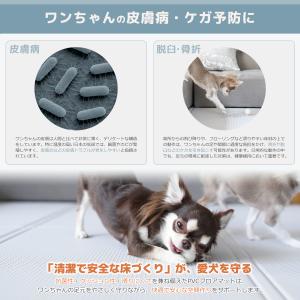PVCマット ペットマット 130x190 抗...の詳細画像5