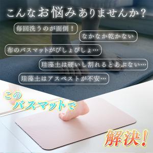 バスマット 1秒吸水 ソフトマットの2倍の吸水...の詳細画像1