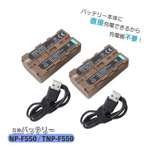 NP-F550 NP-F530 NP-F570 NP-F500 Sony ソニー 互換バッテリー 2個セット　専用充電器不要 バッテリーに直接充電可能 充電用 USB type-C ケーブル付属