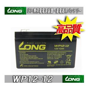 WP12-12 Smart-UPS1000適合 (完全密封型鉛蓄電池） 台湾LONGバッテリー｜batteryking