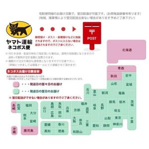 高品質御納骨袋 骨壺袋 白無地 汎用サラシ木綿...の詳細画像4