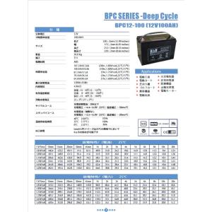 G&Yu BPC12-100 AGM ...の詳細画像1