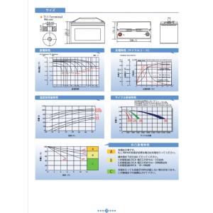 G&Yu BPC12-100 AGM ...の詳細画像2