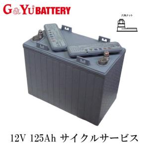 3Kバッテリー（スリーキングバッテリー） バッテリー EB100 LL端子 LR