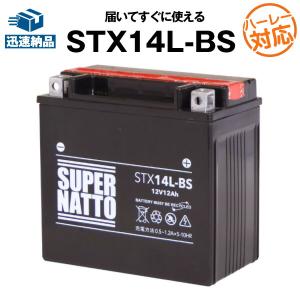 バイク用バッテリー ハーレー専用バッテリー STX14L-BS 65958-04互換 65958-04A 65984-00互換 YTX14L-BS 100％交換保証  特典あり スーパーナット(液入済)｜batterystorecom