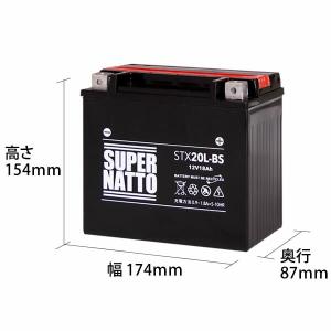 その他 マリンスポーツ用品 STX20L-BS...の詳細画像1