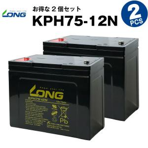 スズキ セニアカー(電動カート)用バッテリー 2個セット HC38-12