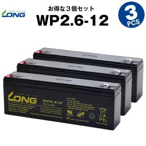 乗用玩具 WP2.6-12 お得！3個セット （産業用鉛蓄電池） サイクルバッテリー  新品  LONG 長寿命・保証書付き｜batterystorecom