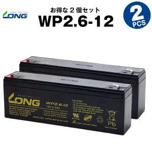 乗用玩具 WP2.6-12 お得！2個セット （産業用鉛蓄電池） サイクルバッテリー  新品  LONG 長寿命・保証書付き｜batterystorecom