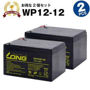 UPS(無停電電源装置) WP12-12【お得 2個セット】（産業用鉛蓄電池） 新品 LONG 長寿命・保証書付き Smart-UPS 1000 など対応 サイクルバッテリー｜batterystorecom