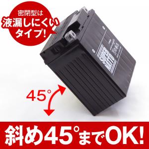 バイク用バッテリー STX14-BS YTX1...の詳細画像4
