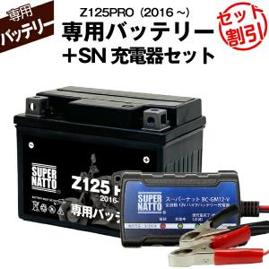 バッテリー充電器 楽天市場】ポイント10倍！9/19(金)20:00〜9/24(水)01:59 バイク