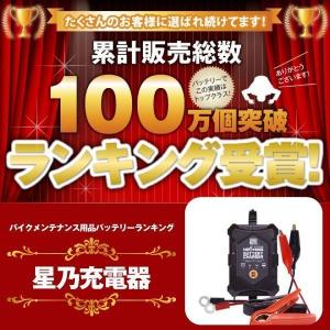 充電器 + SN4.5-6 バッテリー2個 お...の詳細画像5