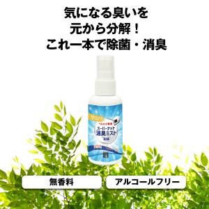 携帯用 ヘルメット専用 強力消臭スプレー ヘル...の詳細画像5