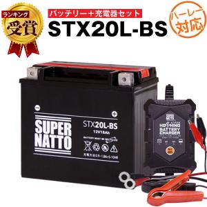 バイクバッテリー H_STX20L-BS YTX20L-BS YTX20HL-BS GTX20L-BS 互換 2点セット バッテリー+星乃充電器(チャージャー) スーパーナット(液入済)