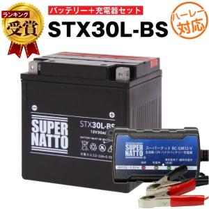 バイク バッテリー ハーレー用バッテリーSTX30L-BS YTX30L-BS 互換 お得2点セット バッテリー+充電器(チャージャー) スーパーナット(液入済)