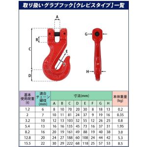 グラブフック クレビスタイプ ピンタイプ 使用...の詳細画像4