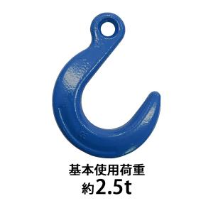 アイフック 使用荷重約2t 約2000kg G80 鍛造 エコノミーモデル ラッチ