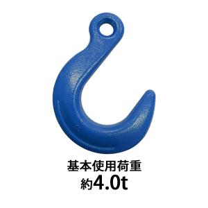アイフック 使用荷重約2t 約2000kg G80 鍛造 エコノミーモデル ラッチ