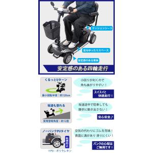 電動シニアカート バックミラー シルバー 電動カート シルバーカー サイドミラー 介護用品 車椅子 Taisコード取得済 運転免許不要 電動車いす 電動車いす 電動車椅子 介護 福祉 バックミラー 充電 Scooter S02 Sv Bauhaus