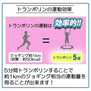 トランポリン 12FT 直径約3.65m 大型...の詳細画像2