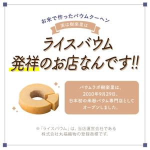 送料無料 訳あり グルテンフリー ライスバウム...の詳細画像3