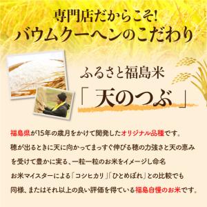 送料無料 訳あり グルテンフリー ライスバウム...の詳細画像4