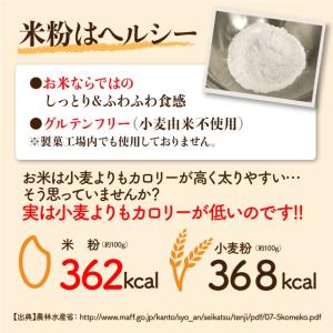 送料無料 訳あり グルテンフリー ライスバウム...の詳細画像5