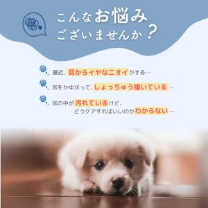 犬 イヤークリーナー 耳掃除 洗浄液 臭い 耳...の詳細画像2