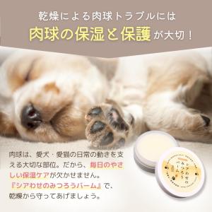 犬 肉球クリーム 無添加 猫 シアわせのみつろ...の詳細画像4