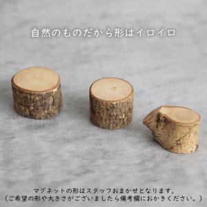 マグネット 切り株 木製 磁石 メモ 日本製 ...の詳細画像2