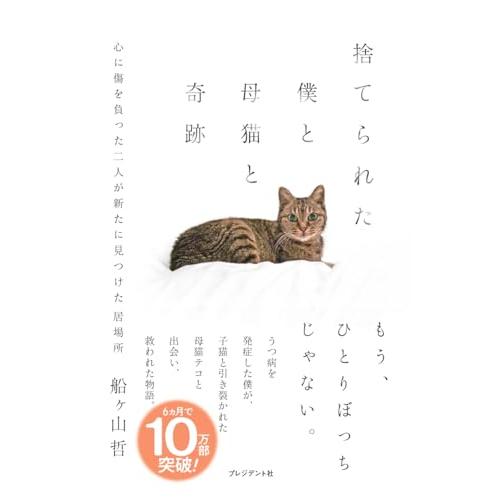 捨てられた僕と母猫と奇跡