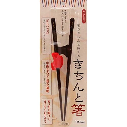 イシダ(Ishida) 日本製 矯正箸 きちんと箸 おとな用 21cm 右利き
