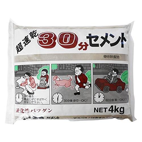 家庭化学 超速乾30分セメント グレー 4kg