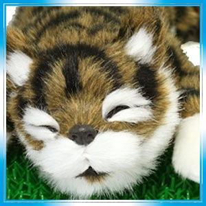 笑い転げる猫 おもちゃの商品一覧 通販 Yahoo ショッピング