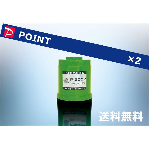 R2 スバル　フィルター交換不要　次世代オイル劣化予防PECSフィルター　P-2002