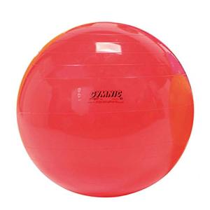ギムニク(GYMNIC) ギムニク 55 赤 LP9555 イタリア製｜bayashin-store