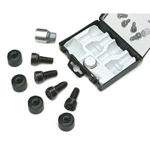 フォルクスワーゲン 純正 ホイールロックボルトセット 5Q0698137 ボルト フォルクスワーゲン（Volkswagen） 純正品 ホイールロックボルトSET