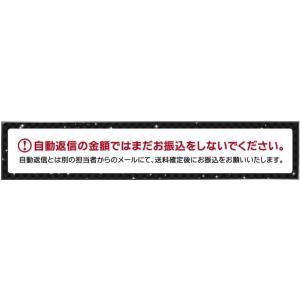フロントグリル 単色塗装品 ニッサン ノート ...の詳細画像3
