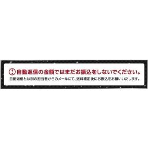 メッキ調鏡面仕上げ ガードフレームトリム【前期...の詳細画像5
