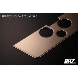 カッパーゴールド リアライセンスプレートベゼル...の詳細画像3