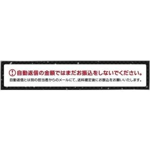 カッパーゴールド ガードフレームトリム【前期ハ...の詳細画像5