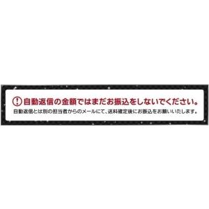 立体カーボン調 ガードフレームトリム【前期ハイ...の詳細画像5