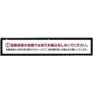 リアコーナーパネル 立体カーボン調【前期ハイゼ...の詳細画像5