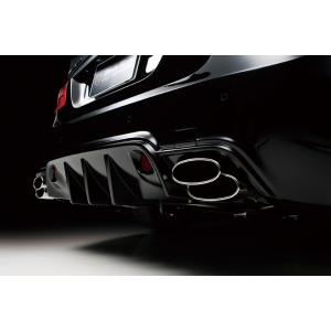 WALD EXECUTIVE LINE DTMスポーツマフラー DTMスポーツマフラー メルセデスベンツ Eクラス W212 '09y