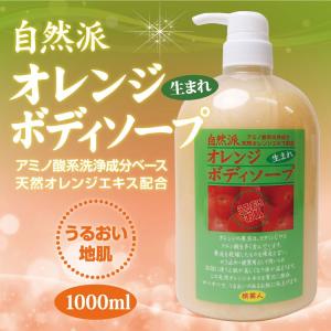 ACL 日邦薬品 ACL アクル ノーマライジングクリーム 30g