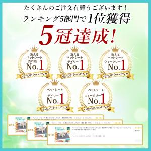 ペットシーツ シート 洗える ワイド レギュラ...の詳細画像1