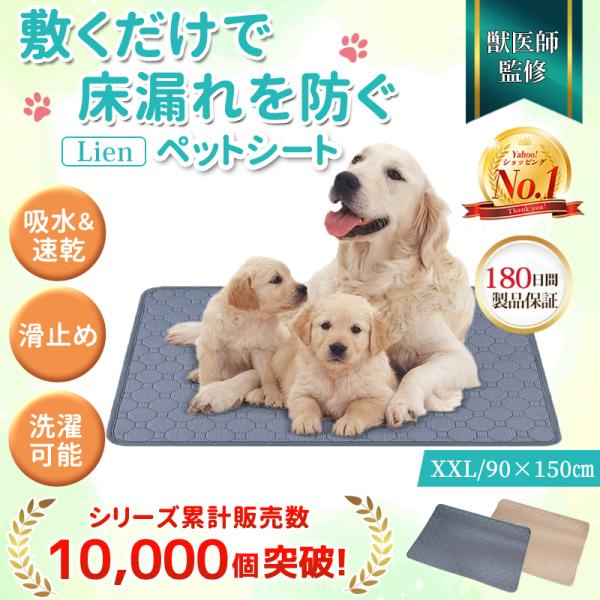 ペットシーツ シート 厚型 厚手 大判 洗える マット スーパーワイド レギュラー 大型犬 犬用 車...