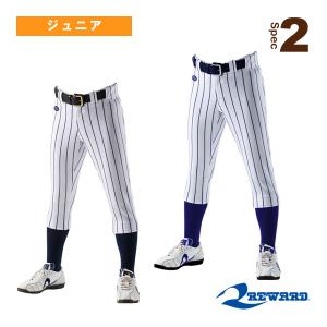 ゼット（ZETT） 野球 練習着 少年用ストライプパンツ ジュニア : 野球